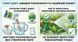 Фунгіцид Тіовіт Джет 40 г, Syngenta
